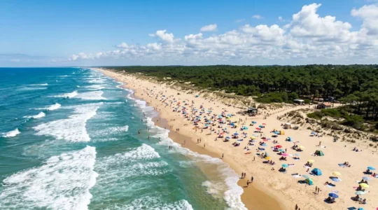 Vue aérienne d'une plage de la côte landaise en été avec l'océan Atlantique et la forêt de pins en arrière-plan
